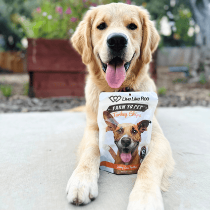 Live Like Roo Turkey Chips for Dogs | Dog Treats That Give Back - ZOOMNSTORE