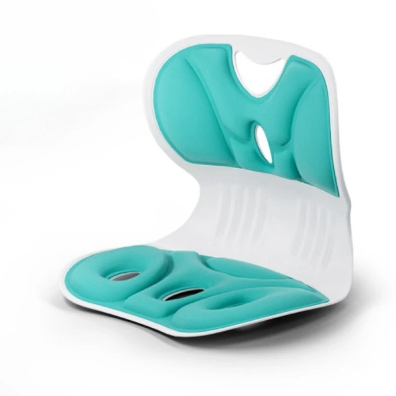 Lumbar Support Pillow – Ergonomic Back Cushion for Lower Pain Relief & Posture Correction - ZOOMNSTORE