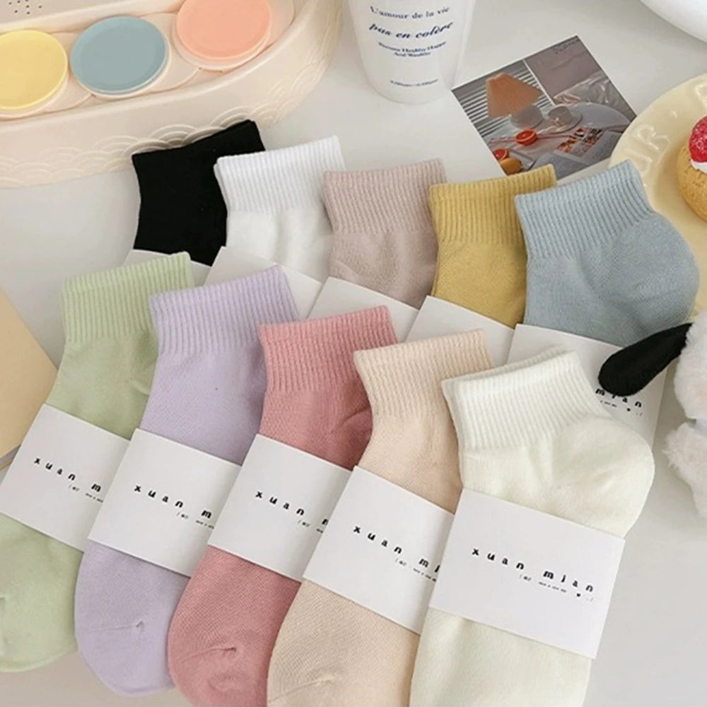 Macaron Colored Short Socks - Soft Comfortable Casual Socks for Women - ZOOMNSTORE