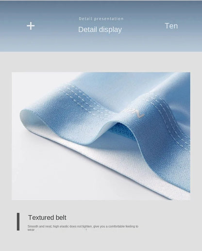 Mens Ice Silk Boxer Shorts - Breathable Cool Underwear Sexy Thin Lingerie Sizes L-6XL 4pcs Set - ZOOMNSTORE