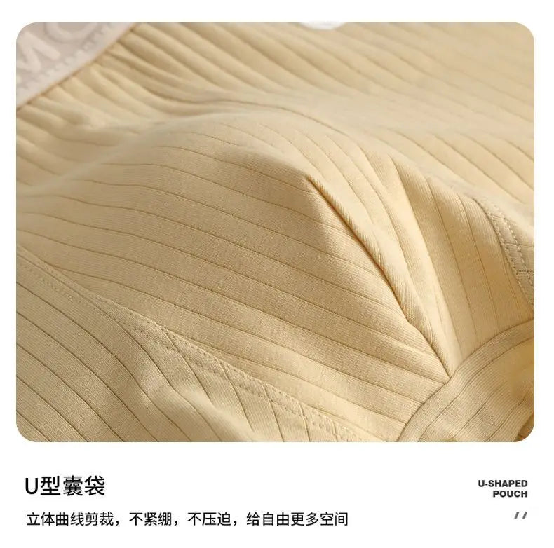 Mens Striped Boxer Shorts - Sexy Underwear for Men - ZOOMNSTORE