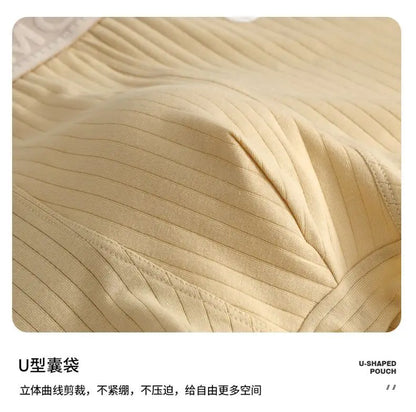 Mens Striped Boxer Shorts - Sexy Underwear for Men - ZOOMNSTORE