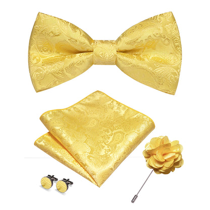 Champagne Silk Jacquard Paisley Bow Tie Set - Pre-tied Bowtie Brooch Hanky  Cufflinks for Weddings  Business - ZOOMNSTORE