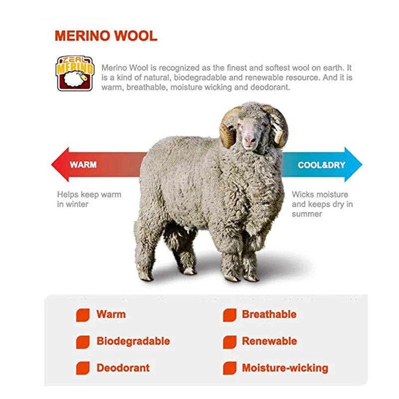 Merino Wool Athletic Socks - No Show Ankle Breathable Mesh, Toe Heel Reinforcement - ZOOMNSTORE