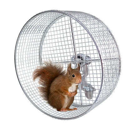 Metal Hamster Exercise Wheel - Silent Running Wire Mesh Wheel for Small Animals - ZOOMNSTORE