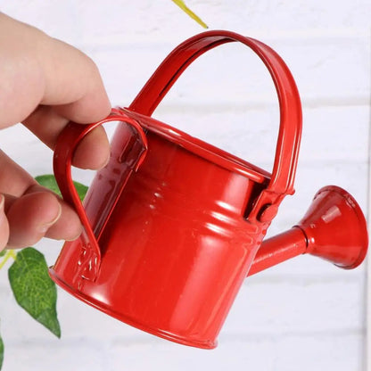 Metal Watering Can – Large Capacity Garden Pot With Smooth Pouring Spout - ZOOMNSTORE