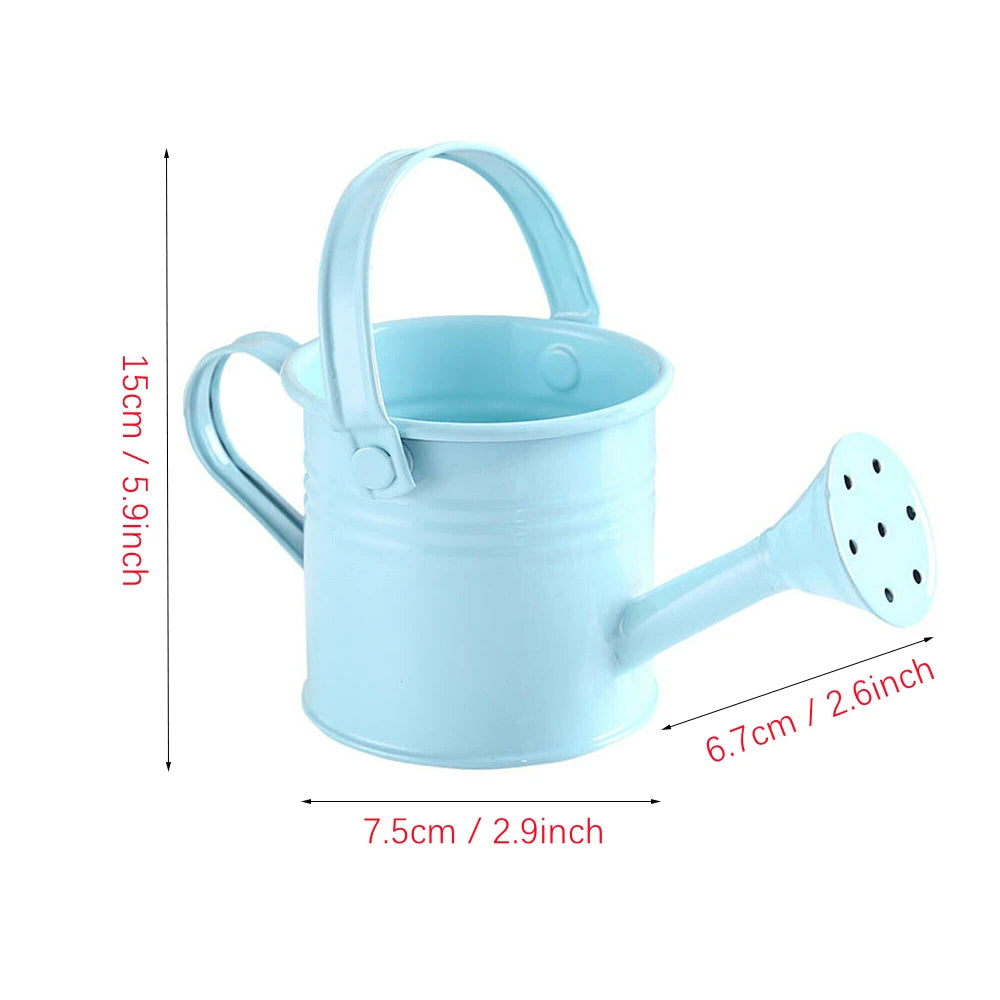 Metal Watering Can – Large Capacity Garden Pot With Smooth Pouring Spout - ZOOMNSTORE