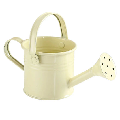 Metal Watering Can – Large Capacity Garden Pot With Smooth Pouring Spout - ZOOMNSTORE