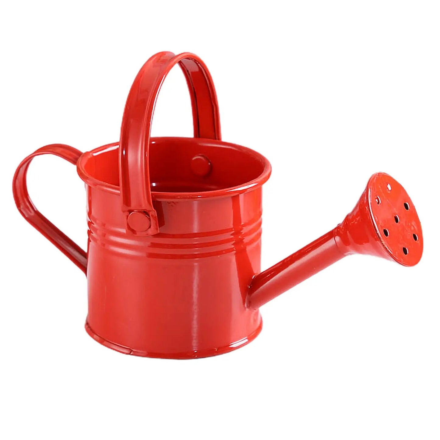 Metal Watering Can – Large Capacity Garden Pot With Smooth Pouring Spout - ZOOMNSTORE
