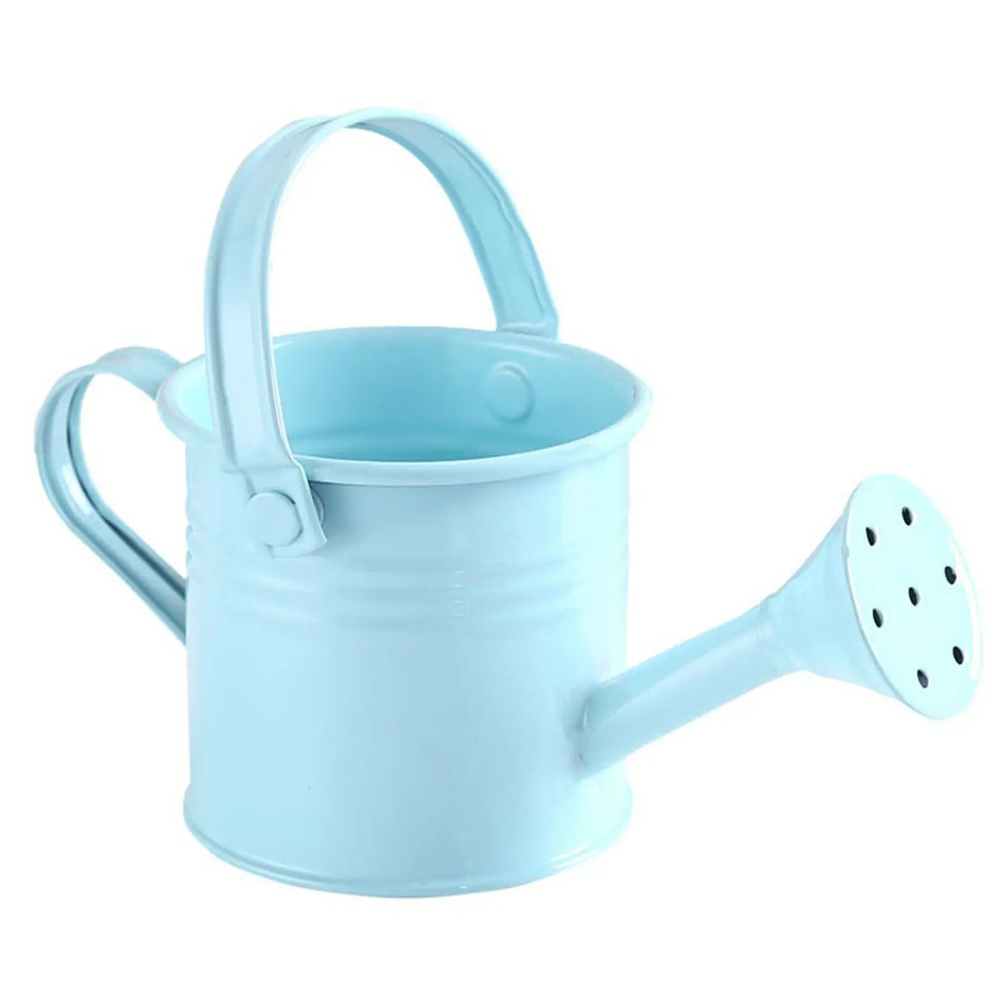 Metal Watering Can – Large Capacity Garden Pot With Smooth Pouring Spout - ZOOMNSTORE
