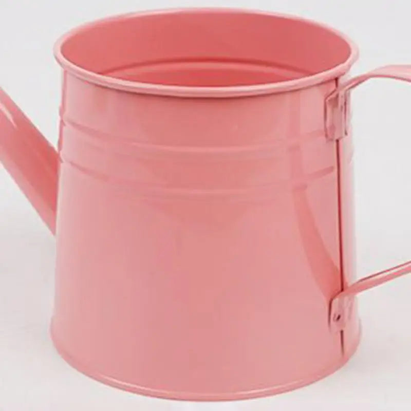 Metal Watering Can 1 Liter - Zinc Plated Outdoor Garden Can for Accurate Indoor Plant Watering - ZOOMNSTORE