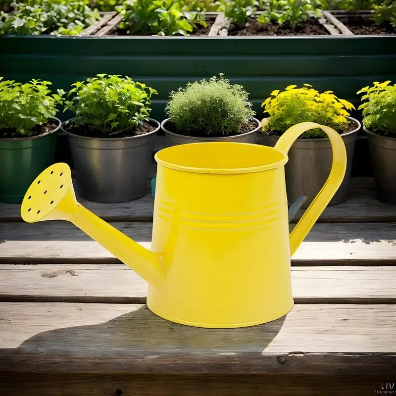 Metal Watering Can 1 Liter - Zinc Plated Outdoor Garden Can for Accurate Indoor Plant Watering - ZOOMNSTORE
