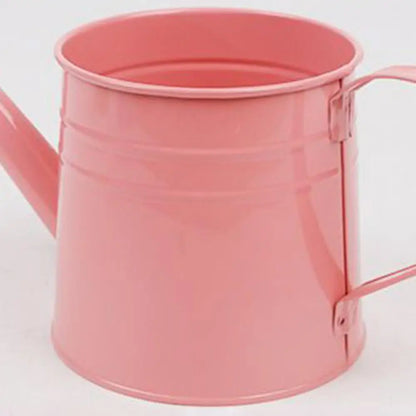 Metal Watering Can 1 Liter - Zinc Plated Outdoor Garden Can for Accurate Indoor Plant Watering - ZOOMNSTORE