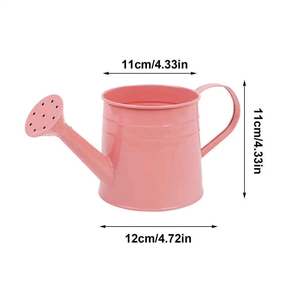 Metal Watering Can 1 Liter - Zinc Plated Outdoor Garden Can for Accurate Indoor Plant Watering - ZOOMNSTORE