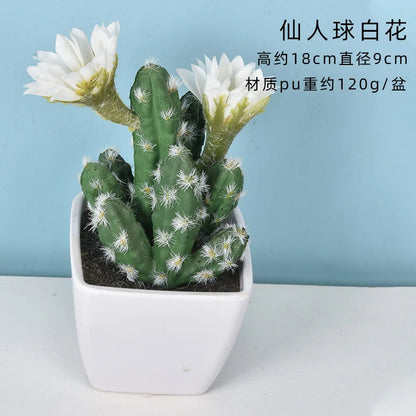 Mini Fake Cactus - Realistic Artificial Succulent Home Decor - ZOOMNSTORE