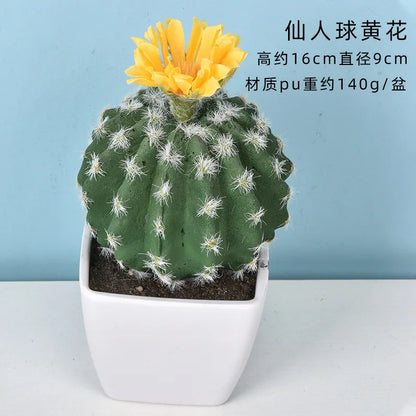 Mini Fake Cactus - Realistic Artificial Succulent Home Decor - ZOOMNSTORE
