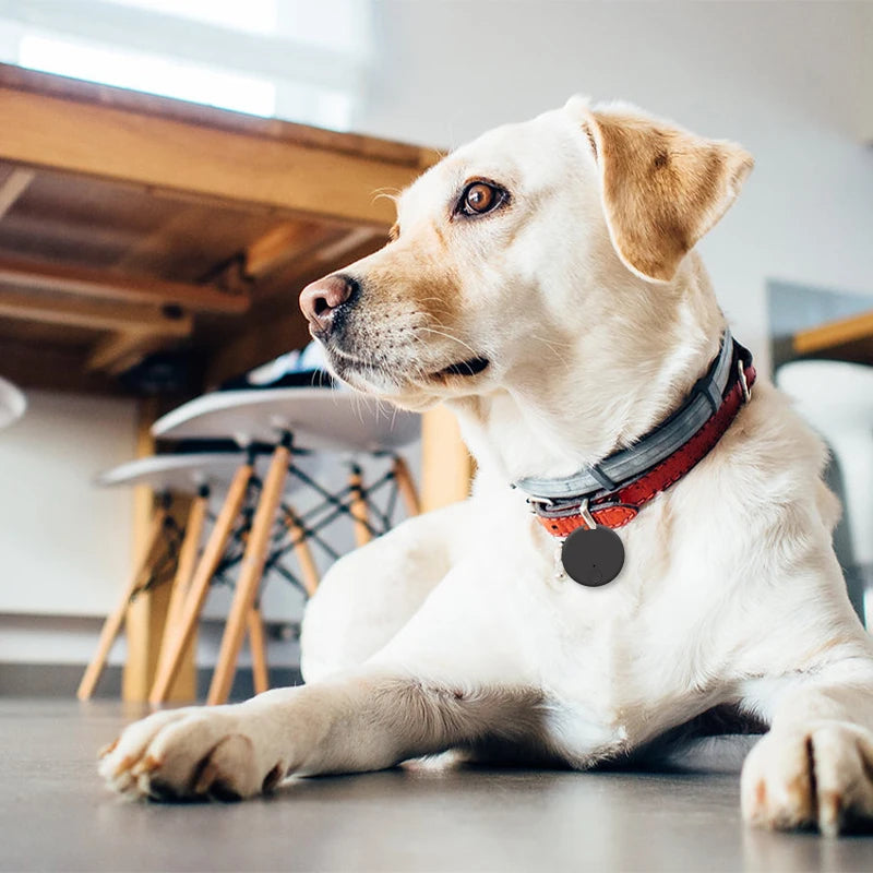 Mini GPS Tracker - Bluetooth Locator for Pets Kids Bags Keys and Wallets - ZOOMNSTORE