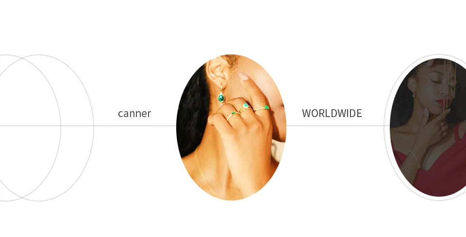 Moissanite Stud Earrings - 0.5 Carat D Color 925 Sterling Silver Sparkling Ear Studs - ZOOMNSTORE