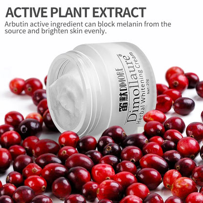 Dimollaure Face Cream - Moisturizing Anti-Aging Skin Care - ZOOMNSTORE