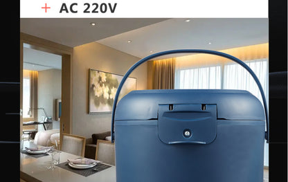 Multi-Voltage Rice Cooker - 2L Car  Home Use for Travel 12V 24V 110V 220V - ZOOMNSTORE