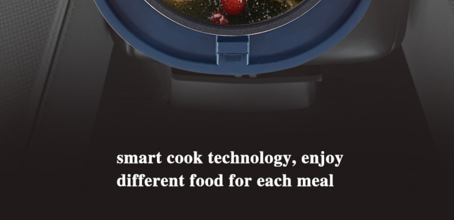 Multi-Voltage Rice Cooker - 2L Car  Home Use for Travel 12V 24V 110V 220V - ZOOMNSTORE