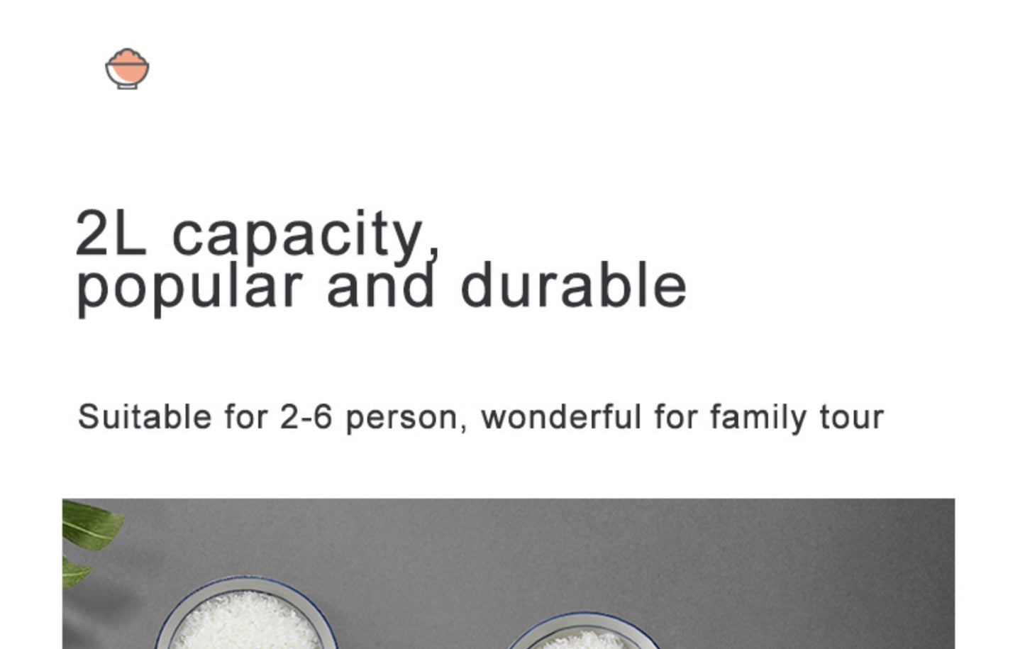 Multi-Voltage Rice Cooker - 2L Car  Home Use for Travel 12V 24V 110V 220V - ZOOMNSTORE