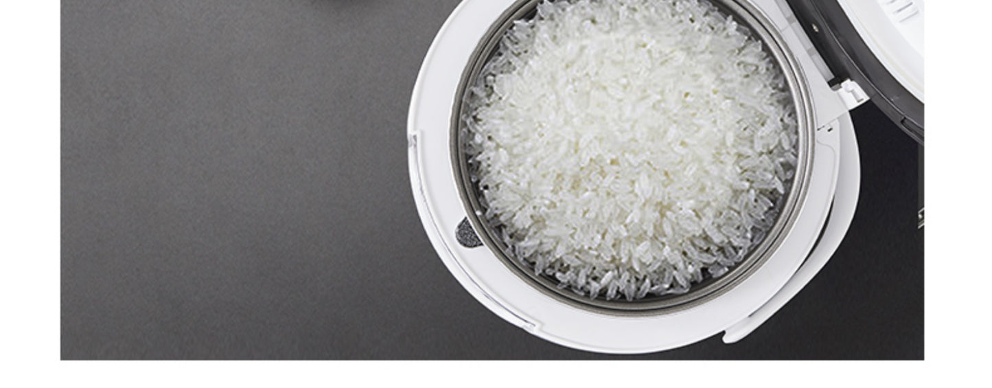 Multi-Voltage Rice Cooker - 2L Car  Home Use for Travel 12V 24V 110V 220V - ZOOMNSTORE