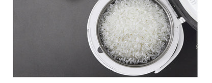 Multi-Voltage Rice Cooker - 2L Car  Home Use for Travel 12V 24V 110V 220V - ZOOMNSTORE