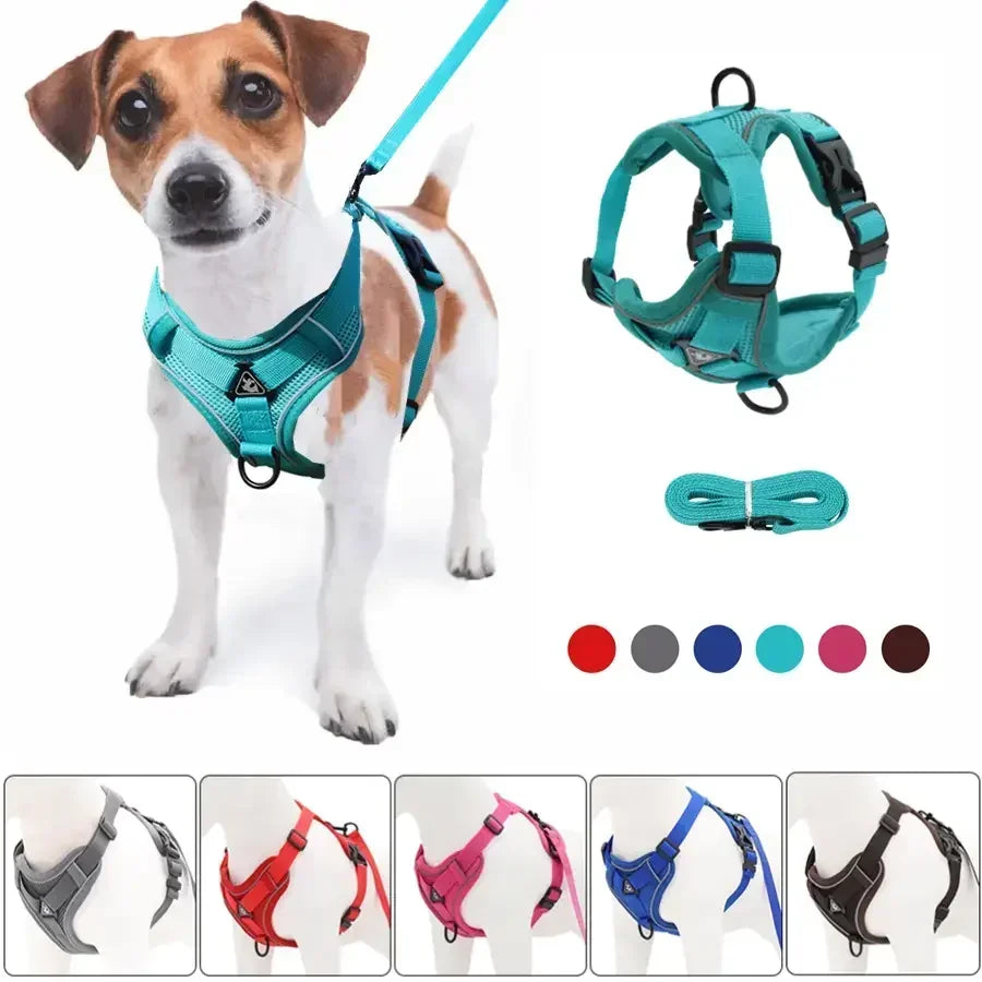 No Pull Dog Harness and Leash Set - Adjustable Reflective Mesh Vest for Small Dogs and Cats - ZOOMNSTORE