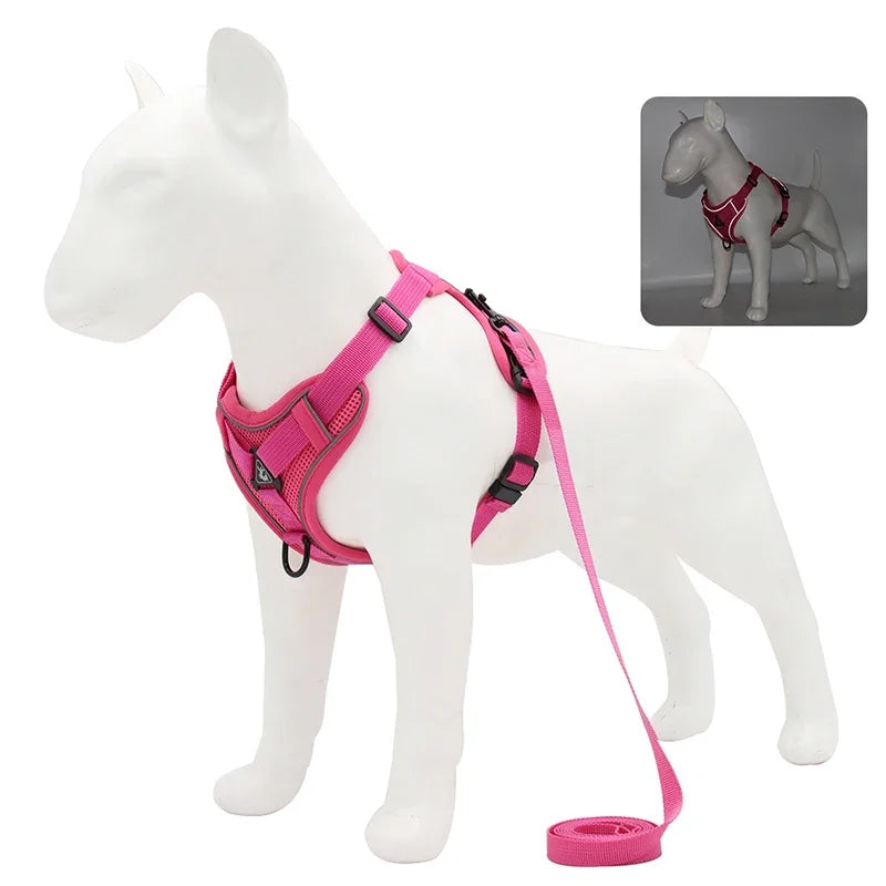 No Pull Dog Harness and Leash Set - Adjustable Reflective Mesh Vest for Small Dogs and Cats - ZOOMNSTORE