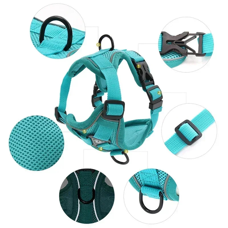 No Pull Dog Harness and Leash Set - Adjustable Reflective Mesh Vest for Small Dogs and Cats - ZOOMNSTORE