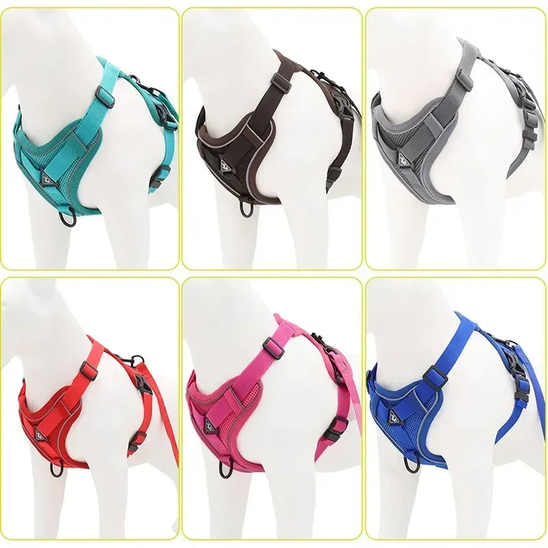 No Pull Dog Harness and Leash Set - Adjustable Reflective Mesh Vest for Small Dogs and Cats - ZOOMNSTORE