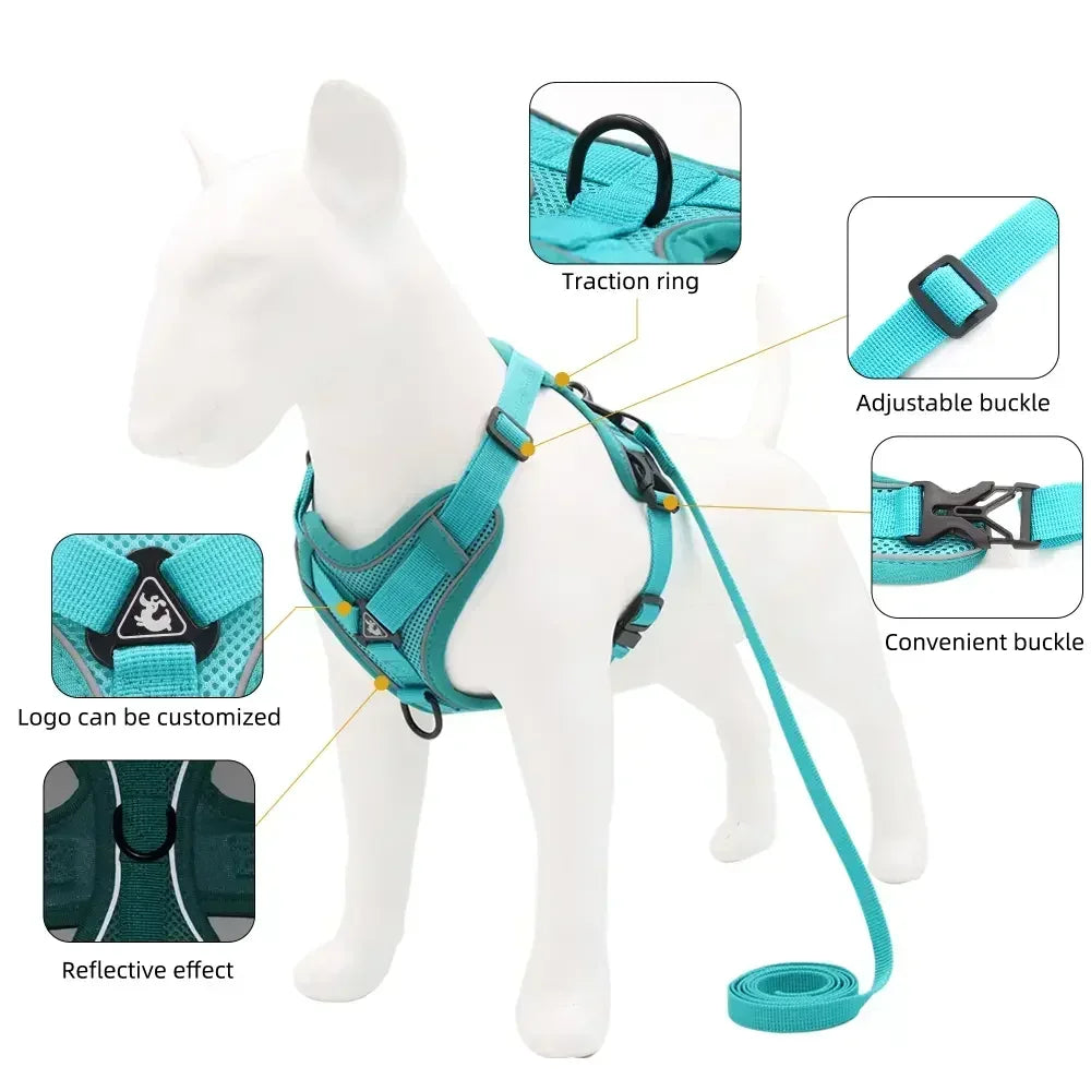 No Pull Dog Harness and Leash Set - Adjustable Reflective Mesh Vest for Small Dogs and Cats - ZOOMNSTORE