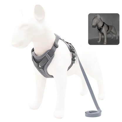 No Pull Dog Harness and Leash Set - Adjustable Reflective Mesh Vest for Small Dogs and Cats - ZOOMNSTORE