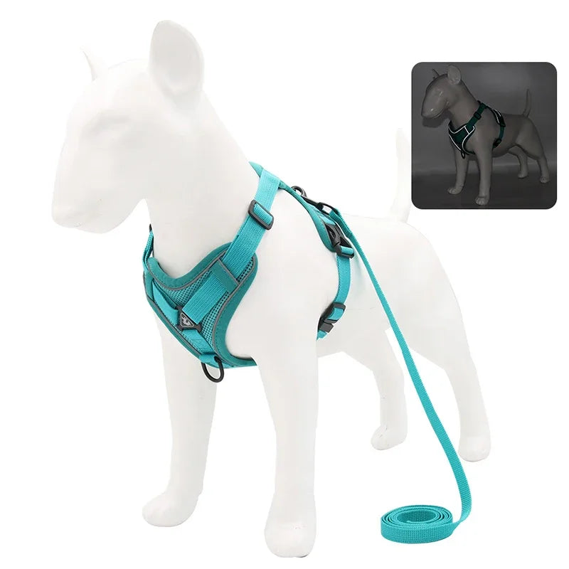 No Pull Dog Harness and Leash Set - Adjustable Reflective Mesh Vest for Small Dogs and Cats - ZOOMNSTORE