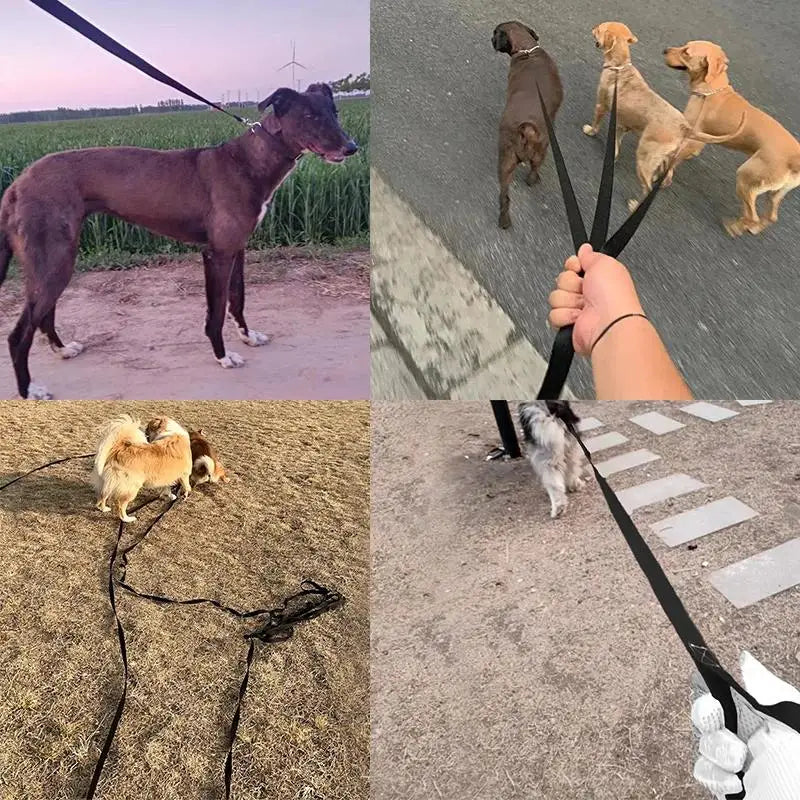 Nylon Dog Leash - Strong Outdoor Lead for Small  Large Dogs 15m to 30m - ZOOMNSTORE