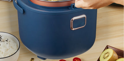 Multi-Voltage Rice Cooker - 2L Car  Home Use for Travel 12V 24V 110V 220V