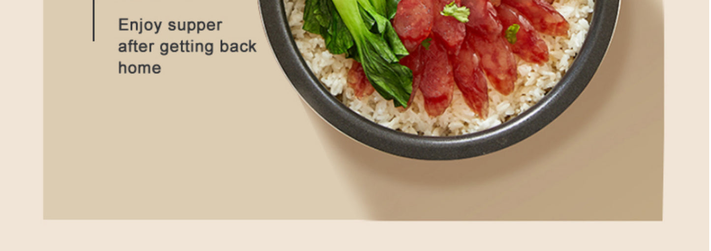 Multi-Voltage Rice Cooker - 2L Car  Home Use for Travel 12V 24V 110V 220V