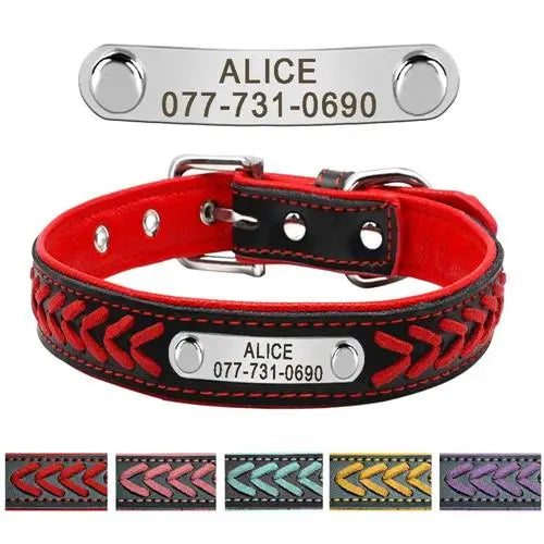 Personalized Dog Collar with Engraved Tag - Adjustable for Small to Large Dogs - ZOOMNSTORE
