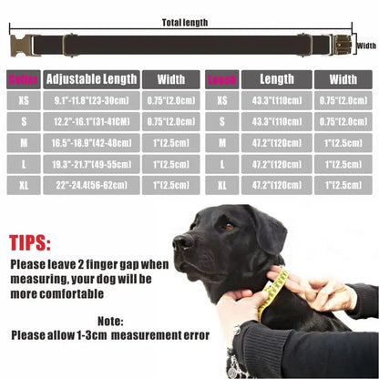 Personalized Dog Collar with Free Engraving - Custom Pet ID Tag Accessory - ZOOMNSTORE
