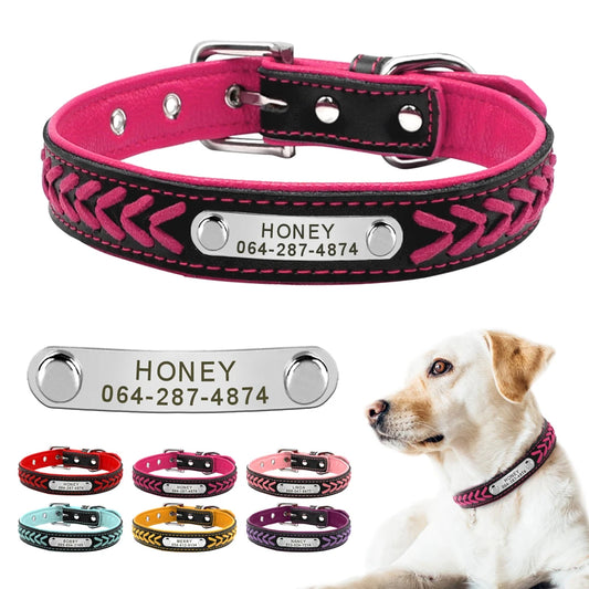 Personalized Dog Collar with Engraved Tag - Adjustable for Small to Large Dogs - ZOOMNSTORE
