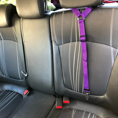 Adjustable Two-in-One Pet Car Seat Belt  Leash - Nylon Dog Safety Harness - ZOOMNSTORE
