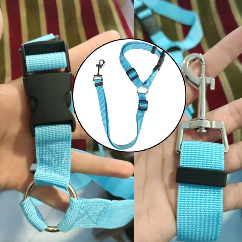 Adjustable Two-in-One Pet Car Seat Belt  Leash - Nylon Dog Safety Harness - ZOOMNSTORE