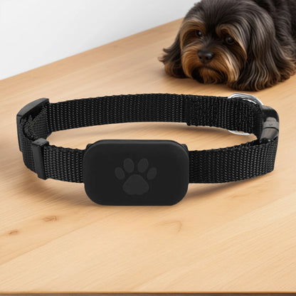 Pet GPS Tracker - Adjustable GPS Pet Collar With Real-Time Location & Long Battery Life - ZOOMNSTORE