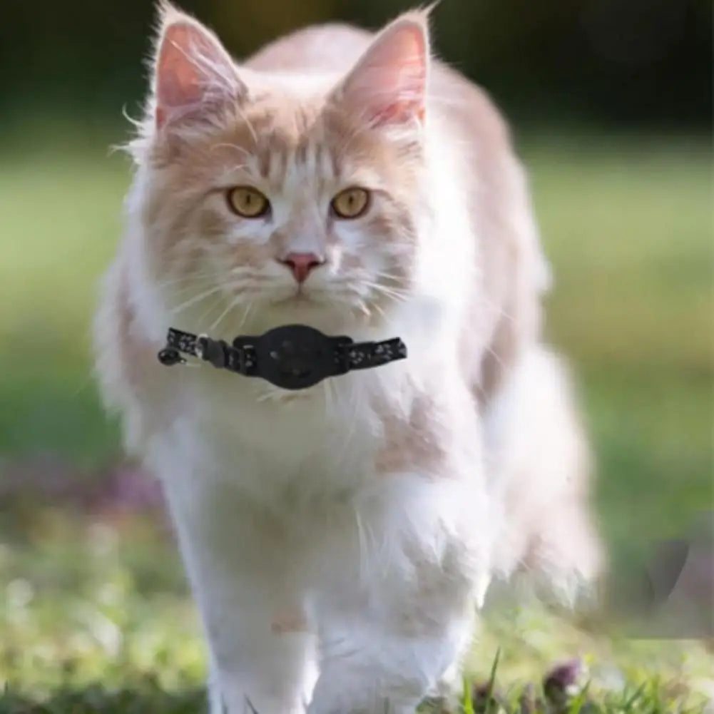 Pet GPS Tracker - Multifunctional Cat GPS Collar With Real Time Location & Mobile App Tracking - ZOOMNSTORE