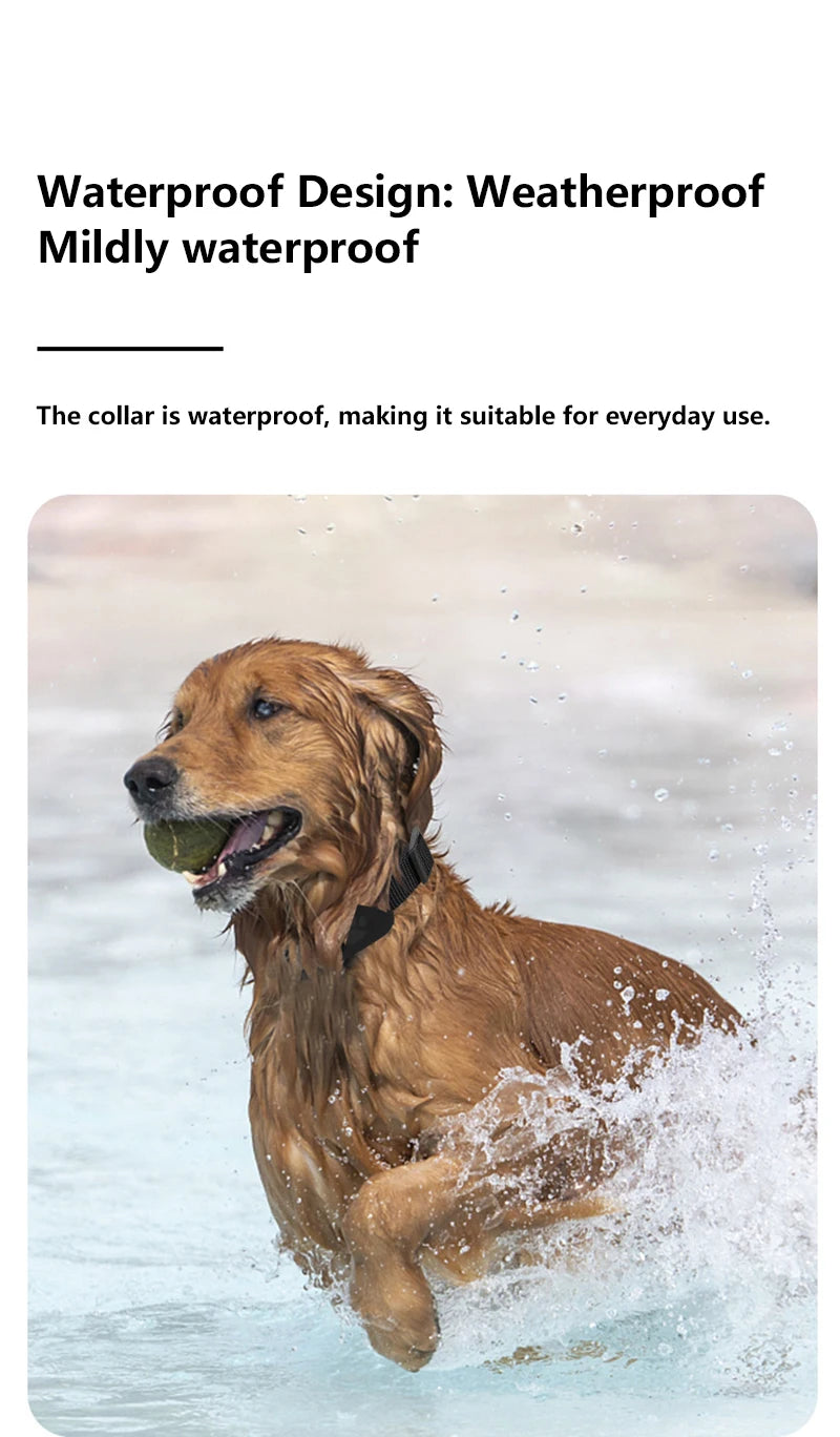 Pet GPS Tracker - Waterproof GPS Pet Collar for Dogs & Cats | Real-Time Locator Device - ZOOMNSTORE
