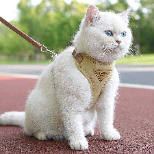 Pet Harness and Leash Set - Breathable Durable Outdoor Walking Supplies for Small Dogs and Cats - ZOOMNSTORE