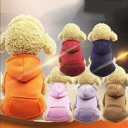 Hooded Pet Sweatshirt - Autumn Winter Dog  Cat Clothes with Pocket - ZOOMNSTORE