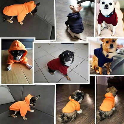 Hooded Pet Sweatshirt - Autumn Winter Dog  Cat Clothes with Pocket - ZOOMNSTORE