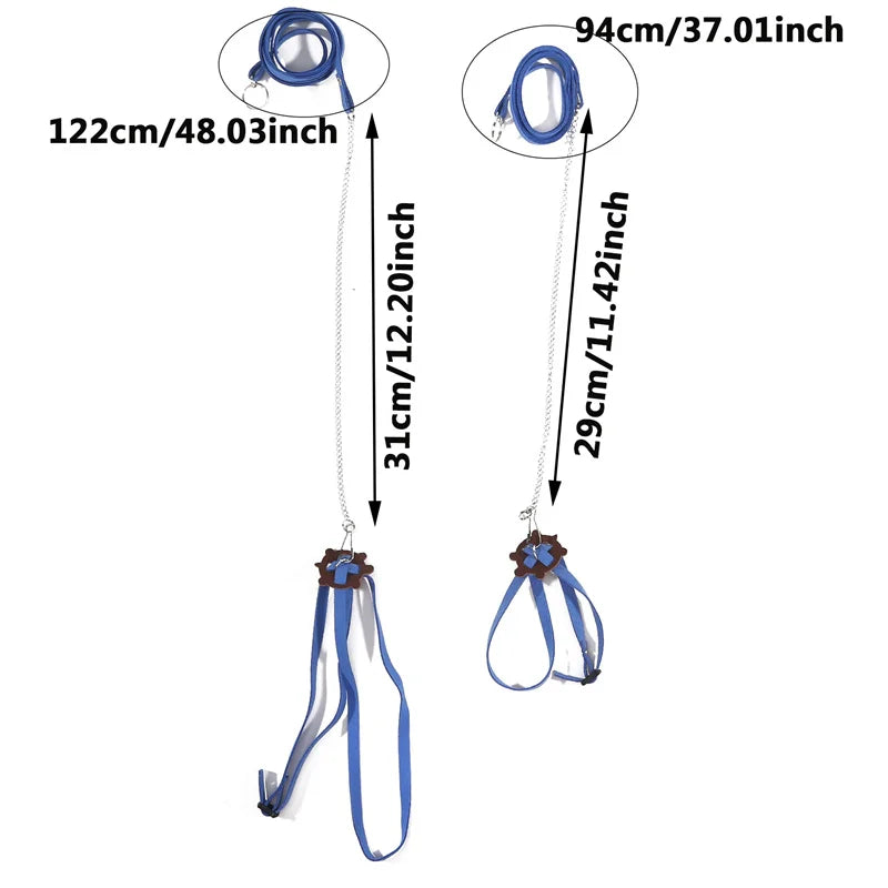 Pet Turtle Safety Belt - Portable Traction Rope for Outdoor Training - ZOOMNSTORE